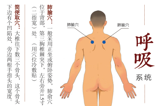 圖片3