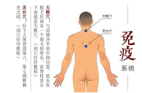 圖片5