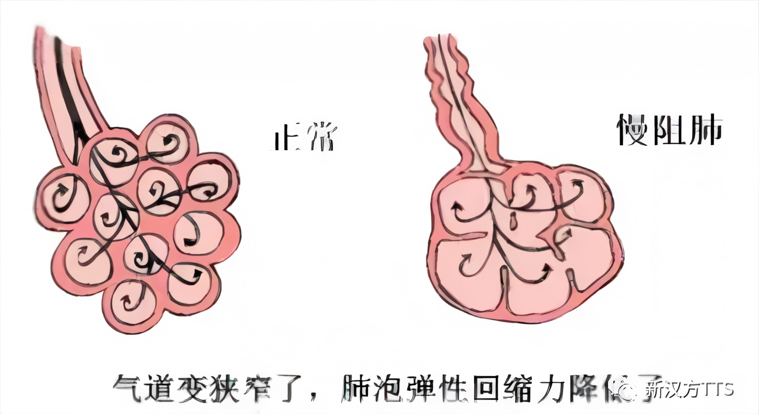 微信圖片_20211118103518